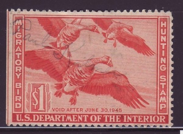 RW11-1944-Federal-Duck-Stamp-USED-PREMIUM-RW11-250979471232
